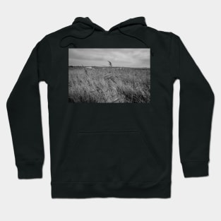 Norfolk reed bed Hoodie